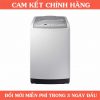 Máy giặt lồng đứng Samsung WA82M5110SG/SV 8.2kg
