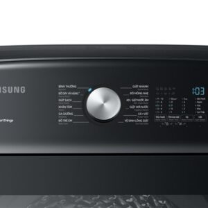 Mua Máy giặt Samsung WA23A8377GV/SV inverter 23kg giá rẻ