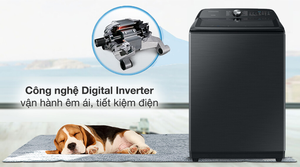 Máy giặt Samsung – Vận hành êm ái, tiết kiệm điện vượt trội