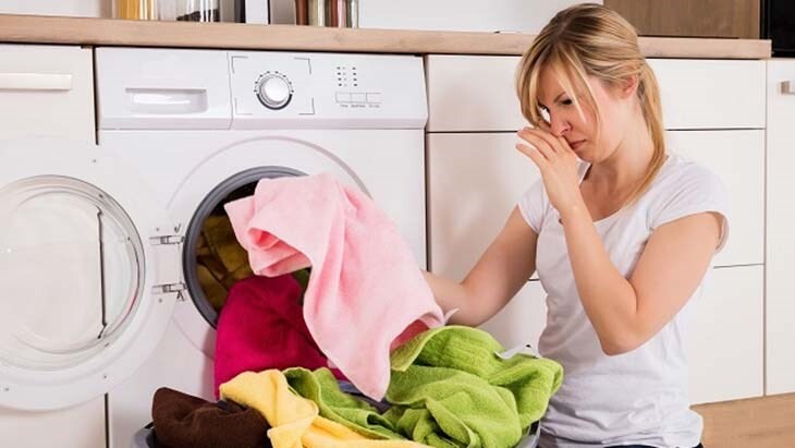 Lồng giặt ẩm ướt – Môi trường lý tưởng cho nấm mốc phát triển